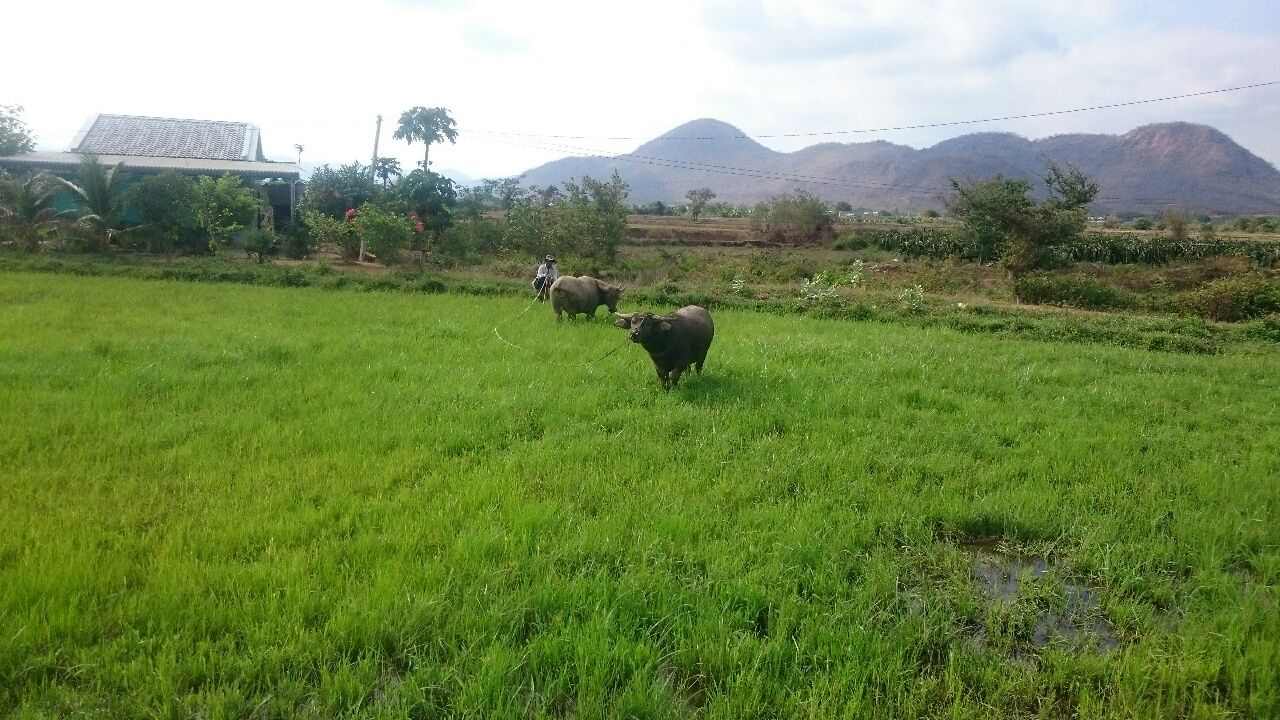 Von Da Lat, über Mui Ne, nach Da Lat