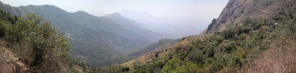 Die Heimreise hat begonnen