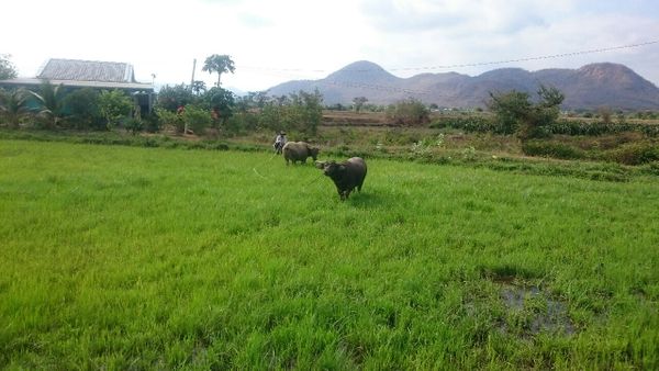 Von Da Lat, über Mui Ne, nach Da Lat